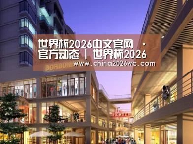 案例展示一(图1)