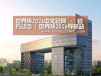案例展示四(图1) 案例展示四(图1)