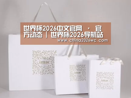 项目名称十一
