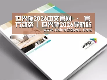 项目名称九