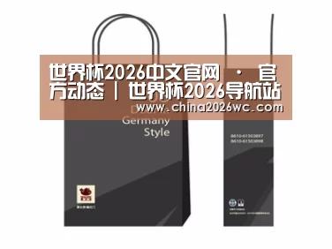 项目名称十四