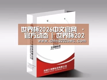 项目名称十三