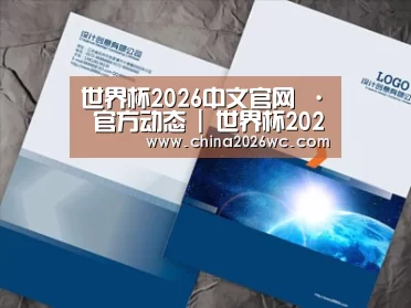 项目名称十