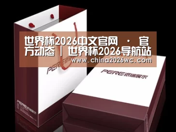 项目名称十二