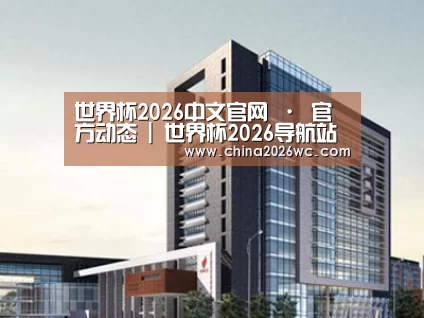 案例展示七
