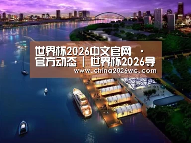 案例展示八