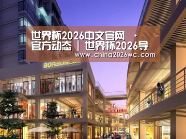 案例展示一