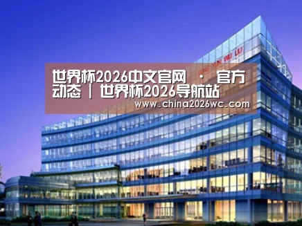 案例展示五