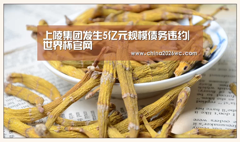 上陵集团发生5亿元规模债务违约|世界杯官网(图1) 2026赛程