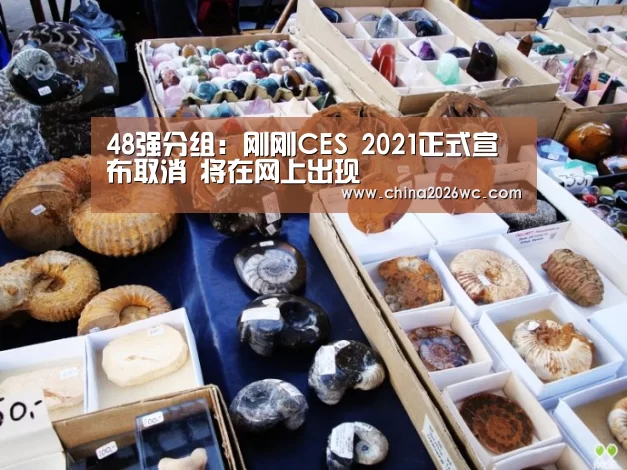 48强分组:刚刚CES 2021正式宣布取消 将在网上出现(图2) 48强分组