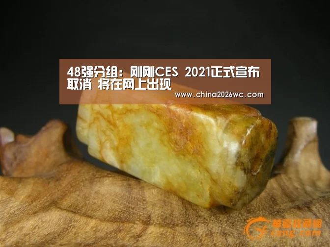 48强分组:刚刚CES 2021正式宣布取消 将在网上出现(图1) 比赛直播