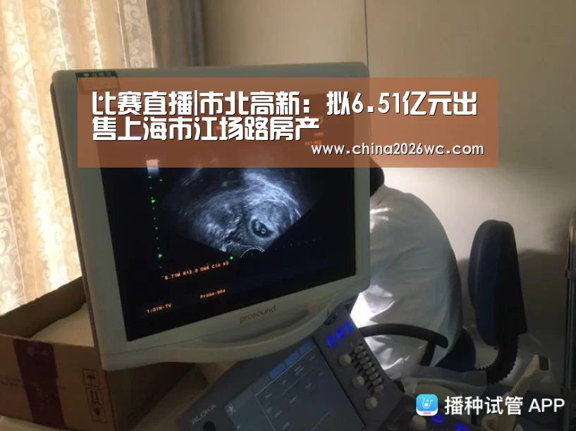 2026赛程
